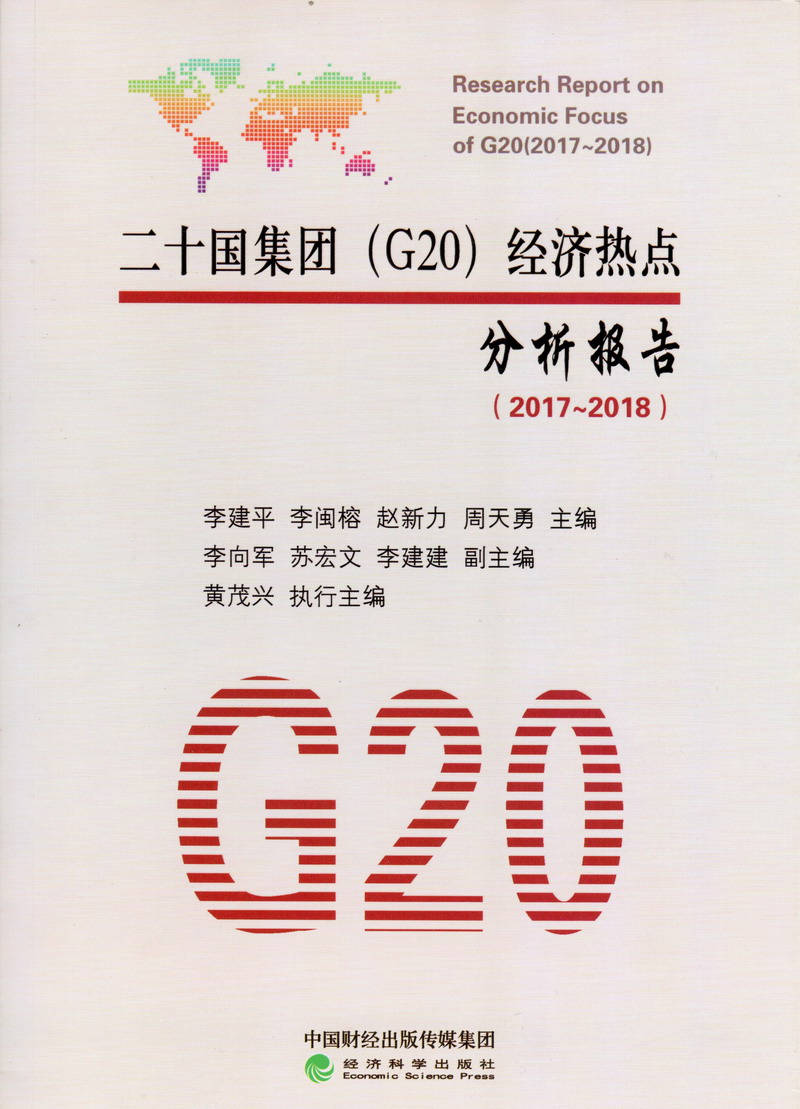 操你逼视频二十国集团（G20）经济热点分析报告（2017-2018）